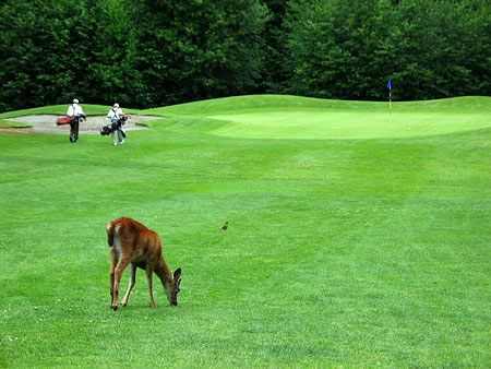 Golf Canada