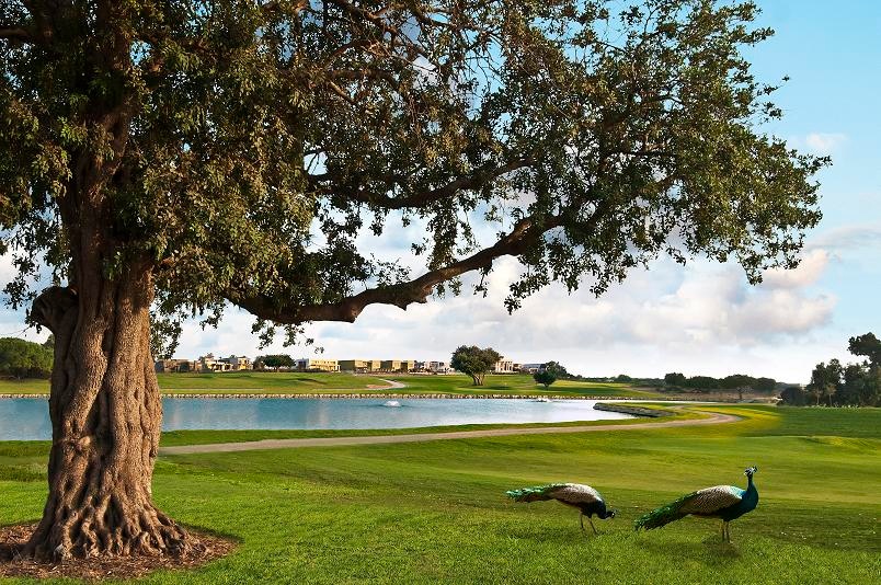 Caesarea Golf Course, Israel