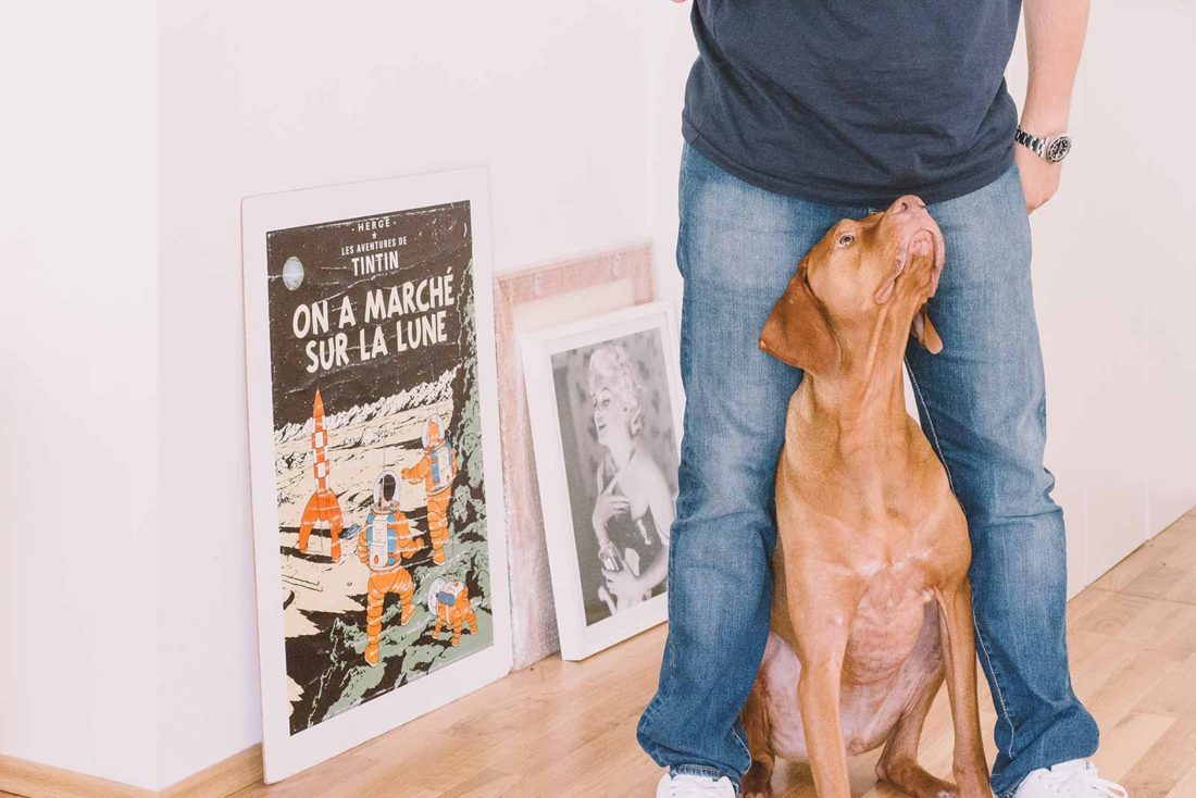 3 Ways To Teach Your Dog Understadn Art