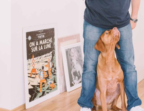 3 Ways To Teach Your Dog Understadn Art