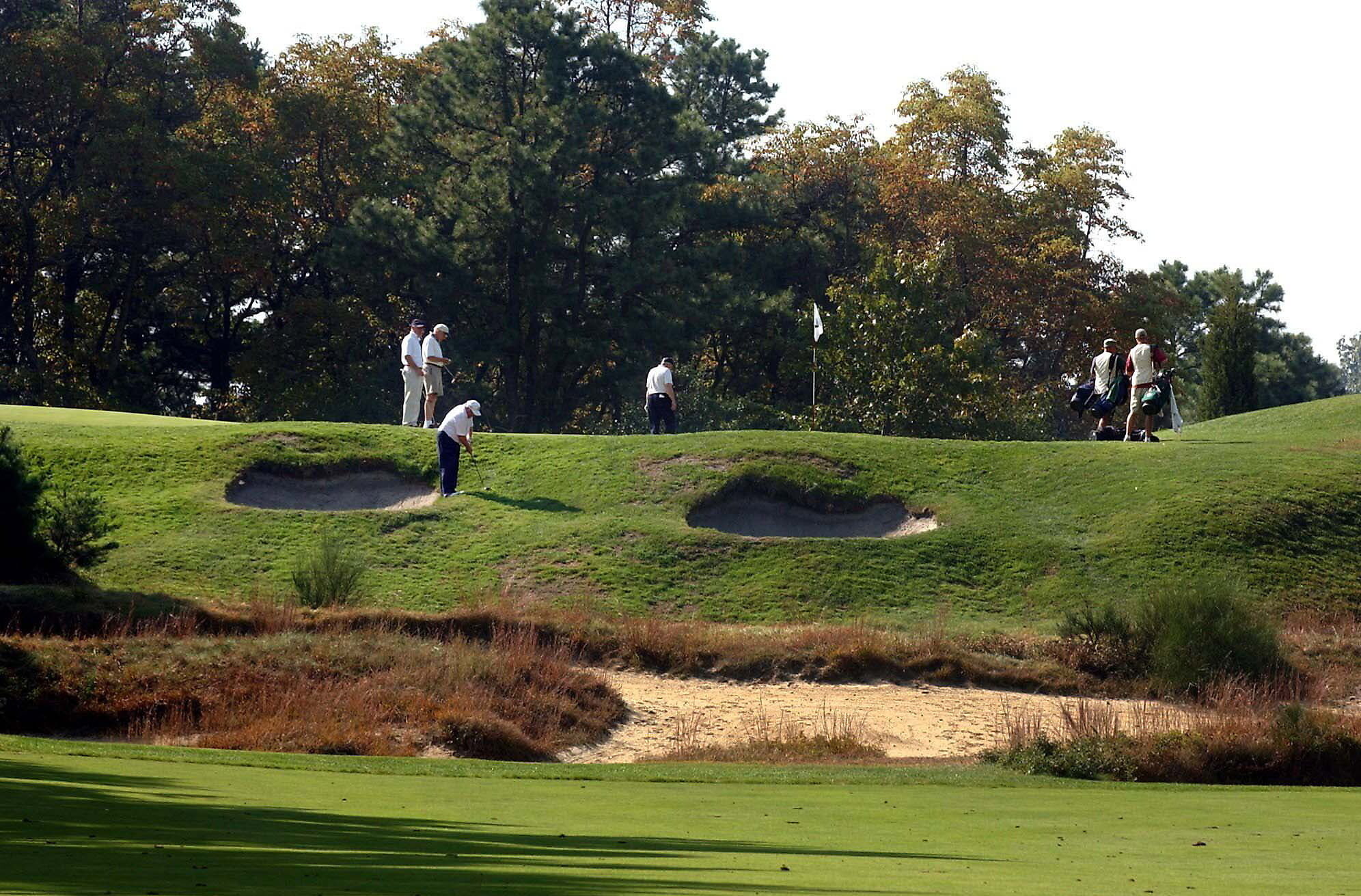 PINE VALLEY_1 --------- 10-8-2003 Photo by Sarah J. Glover IN THIS PHOTO - At the Pine Valley Golf Course, natural brush is encouraged to grow in designated areas on the course. STORY INFO - Golf courses used to be tagged as the anti-green greens, clearing acres of land, consuming lots of water and spraying toxic fertilizer to keep out pests. But Audubon International has started a program to teach golf courses proper environmental etiquette. Now course superintendents say the hardest thing is keeping the golfers out of sensitive areas - they're putting up "poison ivy" signs to stave off plaid-panted invaders. Pine Valley Golf Course is doing several projects, from letting brush grow around ponds to planting 60,000 trees and putting in bluejay houses. ----- CREDIT: SARAH J. GLOVER / Philadelphia Inquirer