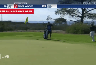 Tiger Woods’ top shots from the 2018-19 PGA TOUR Season