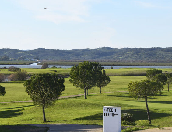 Valle Guadiana Links – Blog Justteetimes